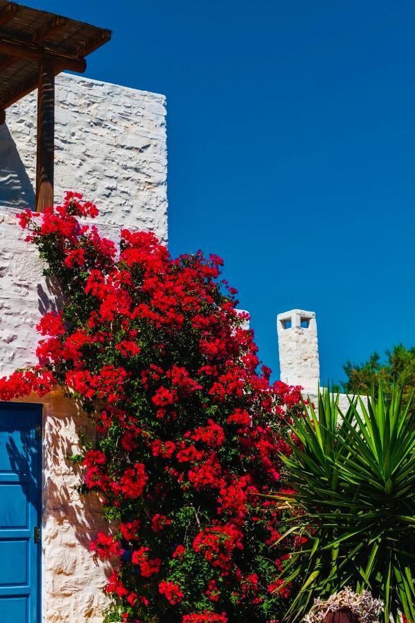 Santa Maria Traditional Stone Studio Extérieur photo