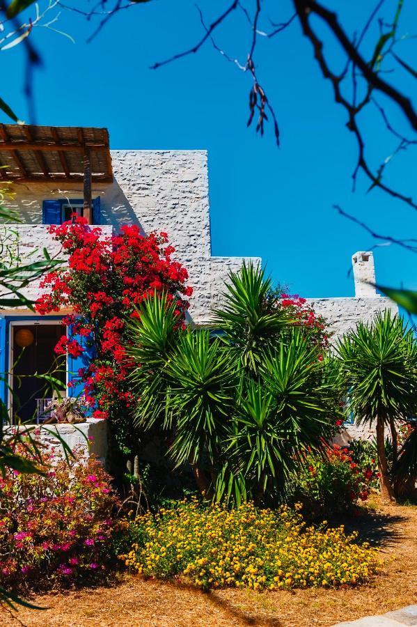 Santa Maria Traditional Stone Studio Extérieur photo